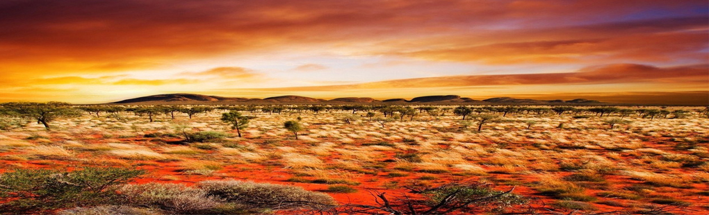 Africa